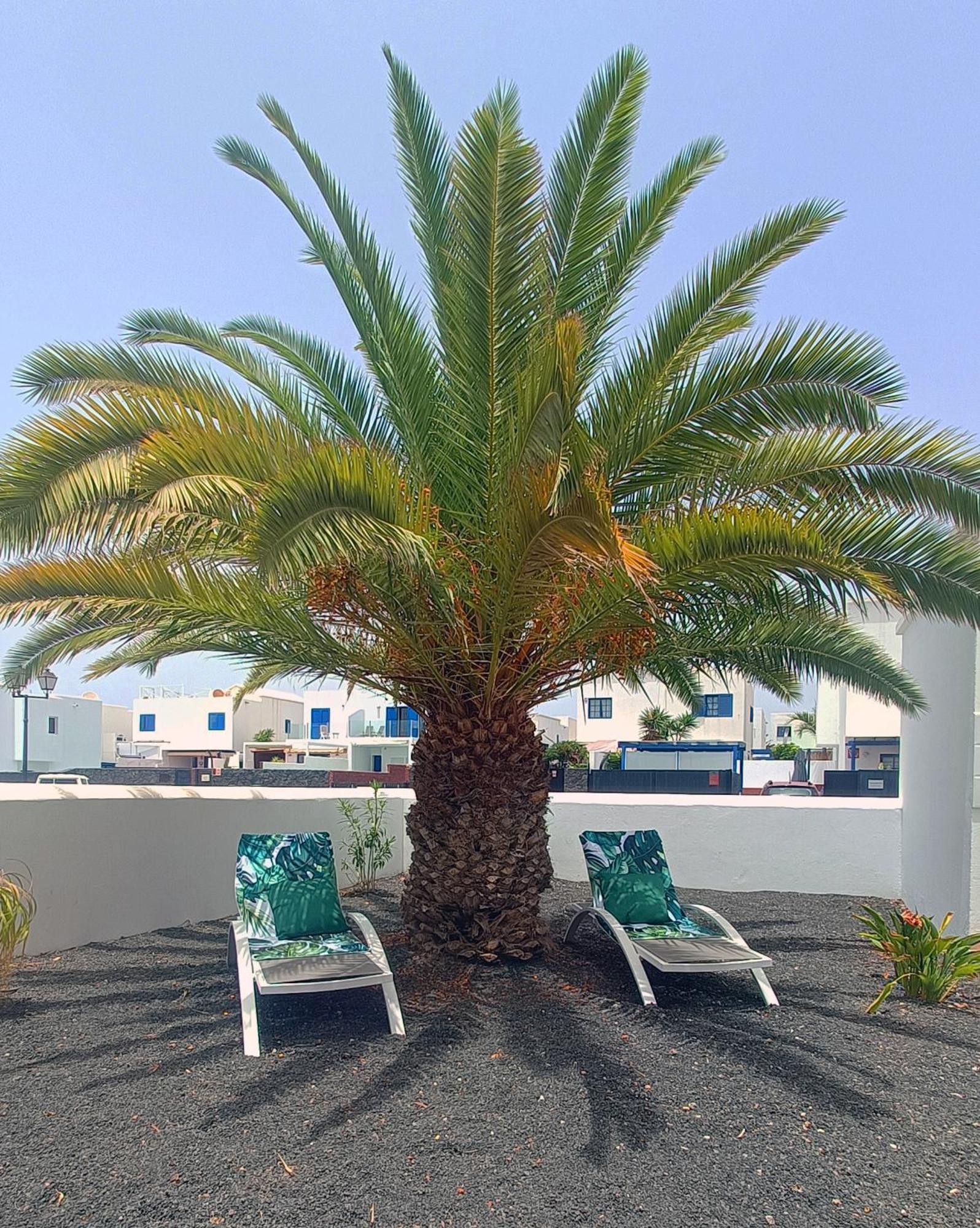 Lovely Casa Felicidad, Swimming Pool, Wifi X Private Garden Playa Blanca  Exterior photo